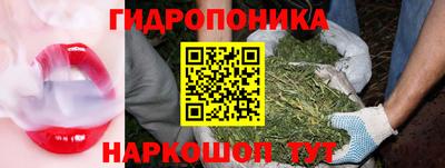 mdma Дубна