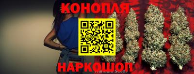 mdpv Заводоуковск