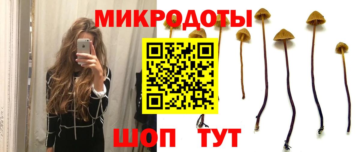 Псилоцибиновые грибы MAGIC MUSHROOMS  Вход с VPN  Мариинск 